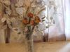 fehér Virág Pénz Növény, Őszinteség, Bolbonac, Moonwort, Ezüst Dollár fénykép