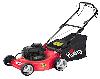 lawn mower Grizzly BRM 4635 BSA photo