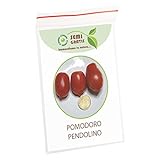 foto: acquista SemiGratis - 5 semi di Pomodoro Pendolino - pomodorino piennolo spunzillo pendolo on-line, miglior prezzo EUR 3,50 nuovo 2024-2023 bestseller, recensione