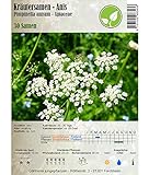 foto: acquista Semi di erbe - Anice / Pimpinella anisum L. 30 Semi on-line, miglior prezzo EUR 4,40 nuovo 2024-2023 bestseller, recensione