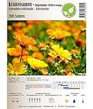 foto: acquista Semi di erbe - Calendola / Fiorrancio- Calendula officinalis - Asteraceae 200 Semi on-line, miglior prezzo EUR 2,30 nuovo 2024-2023 bestseller, recensione