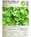 foto: acquista Semi di erbe - Cerfoglio/Anthriscus cerefolium - Apiaceae - diversi tipi(Cerfoglio - solo) on-line, miglior prezzo EUR 2,30 nuovo 2024-2023 bestseller, recensione