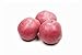 photo Seed Potatoes for Planting Russet - 5 lb 2024-2023