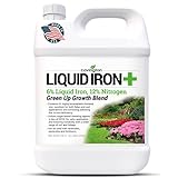 photo: You can buy Chelated Liquid Iron +Plus Concentrate Blend, Liquid Iron for Lawns, Plants, Shrubs, and Trees Stunted or Growth and Discoloration Issues – Solve Iron Deficiency and Root Problems – (32 oz.) USA Made online, best price $34.95 new 2024-2023 bestseller, review