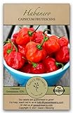 photo: You can buy Gaea's Blessing Seeds - Habanero Pepper Seeds (100 Seeds) Non-GMO Seeds with Easy to Follow Planting Instructions - Open-Pollinated Heirloom Hot Pepper Seeds Germination Rate 92% Net Wt. 1.0g online, best price $5.99 new 2024-2023 bestseller, review