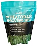 photo: You can buy Wheatgrass Seeds | Non GMO | Grown in USA Wheat Grass Seeds | from Our Farm to Your Table (1 Pound) online, best price $9.95 new 2024-2023 bestseller, review