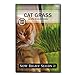 photo Sow Right Seeds - Cat Grass Seed for Planting - Easy to Grow Oat Grass That Your Cat Will Love - Non-GMO - Full Instructions - Great Gardening Gift (1 Packet) 2024-2023