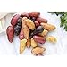 photo Simply Seed - 10 Piece - Fingerling Potato Seed Mix - Non GMO - Naturally Grown - Order Now for Spring Planting 2024-2023