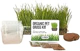 photo: You can buy Cat Grass Growing Kit - 3 Pack Organic Seed, Soil and BPA Free containers (Non GMO). All of Our Seed is Locally sourced! online, best price $14.21 ($4.74 / Count) new 2024-2023 bestseller, review