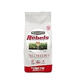 photo: You can buy Pennington The Rebels Tall Fescue Grass Seed Blend, 7 Pounds online, best price $19.83 ($0.18 / Ounce) new 2024-2023 bestseller, review