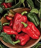 photo: You can buy Burpee Great Stuff Sweet Pepper Seeds 40 seeds online, best price $7.65 ($0.19 / Count) new 2024-2023 bestseller, review