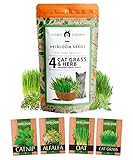 photo: You can buy 3200+ Cat Grass Seeds - Catnip Seeds, Alfalfa Seeds, Oat Seeds, and Oat & Barley Mix - Grow Cat Grass for Indoor Cats - Cat Grass Seeds Bulk - Refill Cat Growing Grass Kit - Heirloom Herb Seed online, best price $13.69 new 2024-2023 bestseller, review