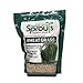 photo Nature Jims Sprouts Wheatgrass Seeds - 100% Organic Wheat Grass Seed for Sprouting - Cat Grass Planter Seeds, Rich in Vitamins, Fiber and Minerals - Non-GMO, Healthy Wheatgrass Sprout Growing Seed 2024-2023
