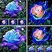 foto strimusimak 50 unids Raro Rosa Flor Planta Semillas jardín al Aire Libre Bonsai Ornamental Rosa Azul Semillas de Rosa para jardín balcón siembra al Aire Libre Semillas de Rosa Azul Rosa 2024-2023