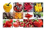 photo: You can buy Harley Seeds This is A Mix!!! 30+ Sweet Pepper Mix Seeds, 12 Varieties Heirloom Non-GMO, Pimento, Purple Beauty, from USA, green online, best price $5.49 ($2.74 / Gram) new 2024-2023 bestseller, review