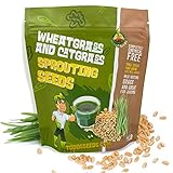 photo: You can buy Todd's Seeds - 1 Pound of Wheatgrass Seeds - Non GMO Sprouting Seeds - Grind Into Whole Wheat Flour - Pet Grass - Cat Grass for Indoor Cats - Wheat Grass Seeds online, best price $9.95 ($9.95 / Pound) new 2024-2023 bestseller, review