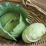 photo: You can buy David's Garden Seeds Cabbage Tendersweet 9983 (Green) 50 Non-GMO, Hybrid Seeds online, best price $3.45 new 2024-2023 bestseller, review