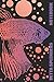 foto Betta Splendens: Dieses Notizbuch gefällt jedem Fan von Siamesischen Kampffischen | ca. A5 | gepunktete Seiten | Tolles Geschenk für alle Aquaristik-Liebhaber! 2024-2023