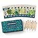 photo 9 Herb Garden Seeds for Planting - USDA Certified Organic Herb Seed Packets - Non GMO Heirloom Seeds - Plant Markers & Gift Box - Tulsi Holy Basil, Cilantro, Mint, Dill, Sage, Arugula, Thyme, Chives 2024-2023