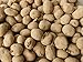 photo 5 Lbs Yukon Gold Seed Potatoes - USA Non-GMO Certified Potato TUBERS SPUDS 2024-2023
