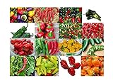 photo: You can buy Please Read! This is A Mix!!! 30+ Hot Pepper Mix Seeds, 16 Varieties Heirloom Non-GMO Habanero, Tabasco, Jalapeno, Yellow and Red Scotch Bonnet, Ships from USA! US Grown. online, best price $5.69 new 2024-2023 bestseller, review