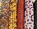 photo Mountain Indian Corn Seeds for Planting Outdoors, 100+ Rainbow Corn Seeds ( Mixed Painted Mountain Indian Corn ), Rainbow Corn Seeds, Ornamental Corn 2024-2023