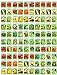 photo 100 Assorted Heirloom Vegetable Seeds 100% Non-GMO (100, Deluxe Assorted Vegetable Seeds) 2024-2023