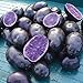 photo Simply Seed - Purple Majesty - Naturally Grown Seed Potatoes - 5 LB- Ready for Spring Planting 2024-2023