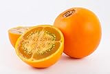 foto: acquista Asklepios-seeds® - 100 Semi di Solanum quitoense on-line, miglior prezzo EUR 4,99 nuovo 2024-2023 bestseller, recensione