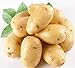 foto PlenTree 120 pezzi di patate Semi Antirughe nutrizione verde vegetale per il giardino domestico che pianta i semi di patate assorbendo la radiazione 2024-2023