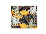foto: acquista 25x Zucca Shenot Crown Of Spine Patisson Seme Verdure K510 on-line, miglior prezzo EUR 9,66 nuovo 2024-2023 bestseller, recensione