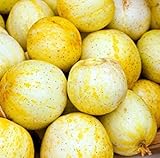 foto: acquista Farmerly 30 Organic Lemon cetriolo Semi Heirloom Non-GMO croccante dolce fragrante gialle on-line, miglior prezzo  nuovo 2024-2023 bestseller, recensione