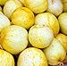 foto Farmerly 30 Organic Lemon cetriolo Semi Heirloom Non-GMO croccante dolce fragrante gialle 2024-2023