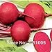 foto Pinkdose 8 grammi di barbabietola rossa, verdura, cortile balcone in vaso giardino di casa spedizione gratuita 2024-2023