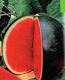 foto: acquista 30 semi di anguria pelle nera precoce frutto del seme di anguria Tyulpan russo Organic Heirloom per la semina giardino di casa on-line, miglior prezzo EUR 10,99 nuovo 2024-2023 bestseller, recensione