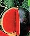 foto 30 semi di anguria pelle nera precoce frutto del seme di anguria Tyulpan russo Organic Heirloom per la semina giardino di casa 2024-2023