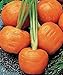 foto SEMI PLAT firm-100pcs / bag parigino semi di carota non OGM Vegetable Seeds cucina Assisted Nutrizione Outdoor Vaso da fiori per il giardino domestico 2024-2023