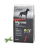 foto: acquista GOLOSI DOG - BIG CROC MAXI 12 Kilogramm crocchette per cani di taglia grande on-line, miglior prezzo EUR 29,25 nuovo 2024-2023 bestseller, recensione