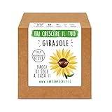 foto: acquista Garden Pocket - Fai crescere il tuo GIRASOLE - Kit di germinazione on-line, miglior prezzo EUR 14,90 nuovo 2024-2023 bestseller, recensione