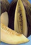foto: acquista PlenTree 5G / 20 Semi di Melone Tendral on-line, miglior prezzo  nuovo 2024-2023 bestseller, recensione
