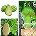 foto Impianti all'aperto giardino ornamentale zucca Chayote semi Bonsai Pianta in vaso Verde Frutta verdura sementi di alta nutrizione 10 pezzi 2024-2023