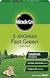 foto: acquista EverGreen estremo prato verde scatola di fertilizzante 80 m² on-line, miglior prezzo EUR 20,10 nuovo 2024-2023 bestseller, recensione