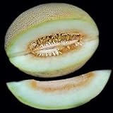 foto: acquista Portal Cool 10 - Semi: semi di melone Charlynne - Molto dolce, cremoso e aromatico, morbido e succoso. !!!! on-line, miglior prezzo EUR 9,99 nuovo 2024-2023 bestseller, recensione