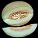 foto Portal Cool 10 - Semi: semi di melone Charlynne - Molto dolce, cremoso e aromatico, morbido e succoso. !!!! 2024-2023