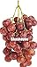 foto Pinkdose Saldi!Â 100 pz Piante d'uva Nero Uva Albero bonsai Cresce Frutta Bonsai Piante non OGM Cibo commestibile Balcone in vaso Piante da giardino: 8 2024-2023