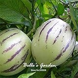 foto: acquista Semi 20pcs Pepino Semi pepino melone pera giardino domestico di DIY BonsaïPianta on-line, miglior prezzo EUR 10,99 nuovo 2024-2023 bestseller, recensione