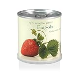 foto: acquista Extragifts Fiori in lattina - Fragola on-line, miglior prezzo EUR 9,95 nuovo 2024-2023 bestseller, recensione