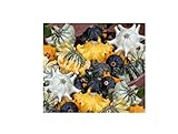 foto: acquista 10 x Zucca Shenot Crown Of Spine Patisson Seme Verdure KS510 on-line, miglior prezzo EUR 9,66 nuovo 2024-2023 bestseller, recensione