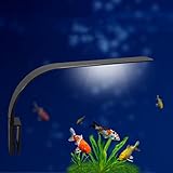 foto: acquista Luce LED acquario UEETEK Lampada clip per acquario luminoso con luce bianca on-line, miglior prezzo EUR 12,99 nuovo 2024-2023 bestseller, recensione
