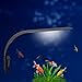 foto Luce LED acquario UEETEK Lampada clip per acquario luminoso con luce bianca 2024-2023